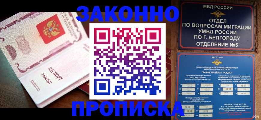временная регистрация для школы в Кудрово
